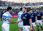 Argentina beat Scotland in the third Test match in Santiago del Estero to win the summer series. (Photo by Pablo Gasparini / AFP via Getty Images)