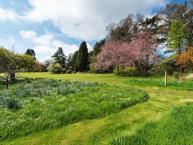 Garden.