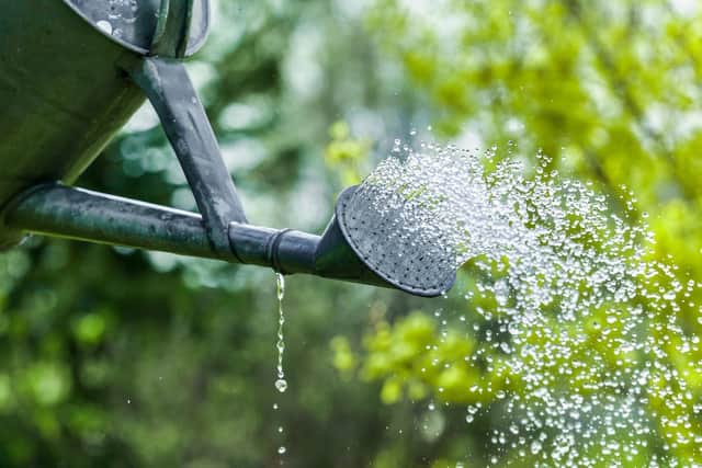 Using a watering can to water your garden is much slower but there are some benefits (photo: Adobe)