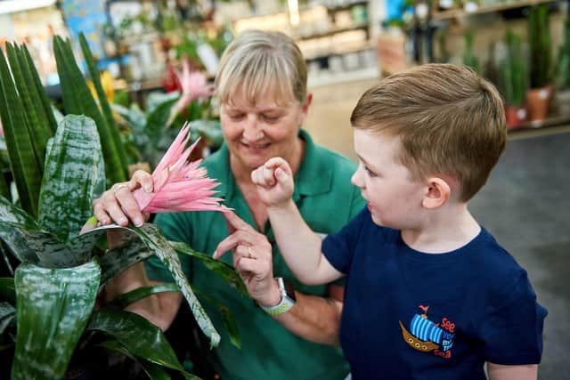 August’s Little Seedlings Club at Dobbies Garden Centres will cover Prehistoric Plants. Little Seedlings Ambassador Thomas Jackson is pictured at Dobbies’ Ashford