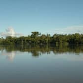 A view of the Napo River as it runs through the Yasuni National Park in Ecuador. PIC: Rodrigo Buendia / AFP via Getty Images