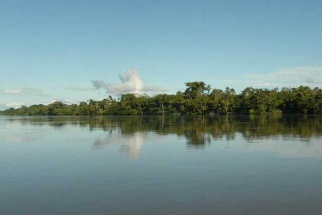 A view of the Napo River as it runs through the Yasuni National Park in Ecuador. PIC: Rodrigo Buendia / AFP via Getty Images