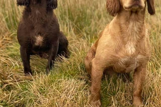 Obie on the left and his brother Bing picture: supplied