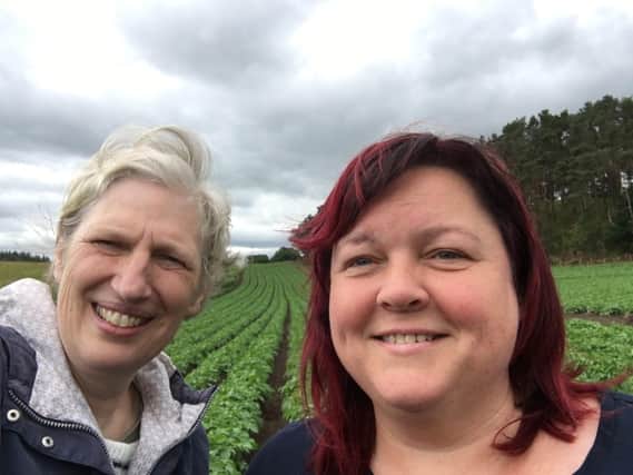 Artists Mary Bourne and Lynne Strachan will lead and develop “The Art of Farming” over the next year.