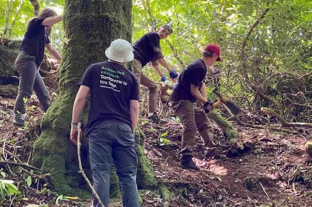 As part of its Re:Green scheme, Raleigh International is offering 66 youngsters from disadvantaged backgrounds the chance to learn new skills while working to help conserve rare Celtic rainforests in Scotland