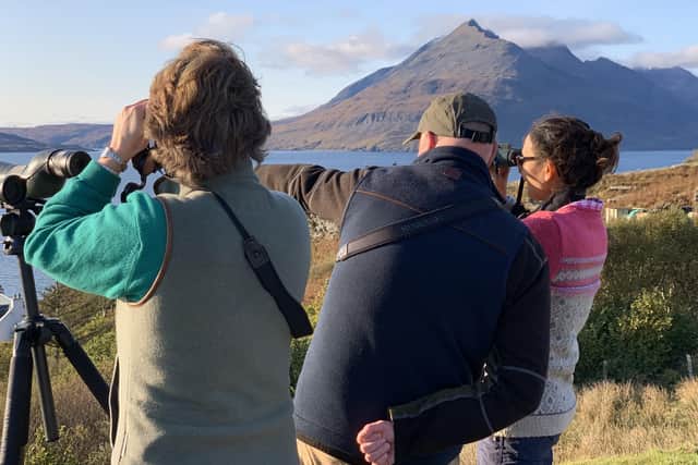 SKYEFARI run wildlife tours around the island in a minibus, spotting wildlife in out of the way places. Pic: Paul Sharman-SKYEFARI