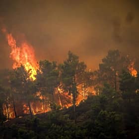 Flames rise during a forest fire on the island of Rhodes, Greece.