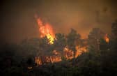 Flames rise during a forest fire on the island of Rhodes, Greece.