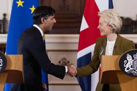 Rishi Sunak and European Commission chief Ursula von der Leyen appeared pleased with their work addressing problems with the Northern Ireland Protocol (Picture:Dan Kitwood /pool/AFP via Getty Images)