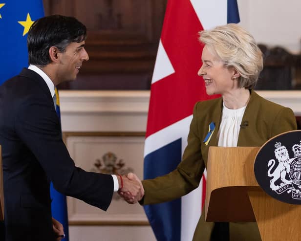 Rishi Sunak and European Commission chief Ursula von der Leyen appeared pleased with their work addressing problems with the Northern Ireland Protocol (Picture:Dan Kitwood /pool/AFP via Getty Images)