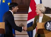 Rishi Sunak and European Commission chief Ursula von der Leyen appeared pleased with their work addressing problems with the Northern Ireland Protocol (Picture:Dan Kitwood /pool/AFP via Getty Images)