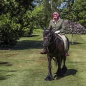 Queen Elizabeth rides a pony in Windsor Home Park in May 2020 (Picture: Steve Parsons/WPA pool/Getty Images)
