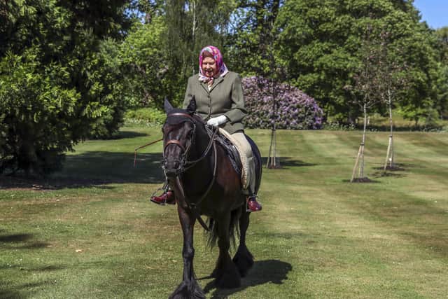Queen Elizabeth rides a pony in Windsor Home Park in May 2020 (Picture: Steve Parsons/WPA pool/Getty Images)