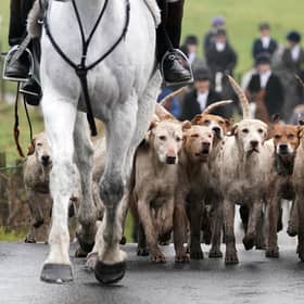 Riders and hounds as they take part in the Kennels Lanarkshire and Renfrewshire meet in Houston, Scotland. Environment Minister Mairi McAllan has said loopholes around fox hunting will be closed as the Hunting with Dogs Bill legislation goes through its final stage in 2023.