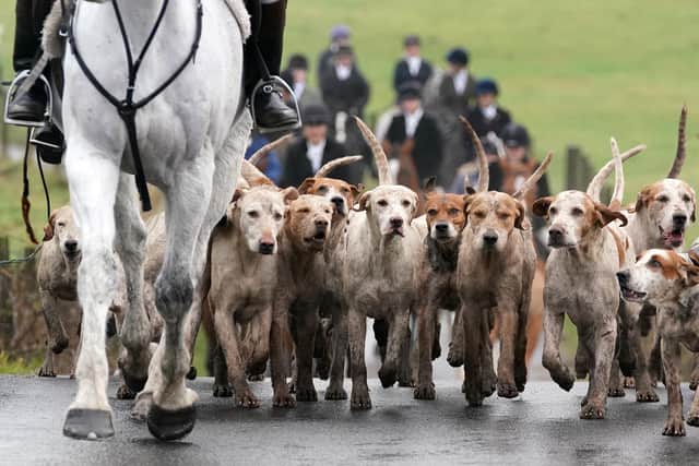 Riders and hounds as they take part in the Kennels Lanarkshire and Renfrewshire meet in Houston, Scotland. Environment Minister Mairi McAllan has said loopholes around fox hunting will be closed as the Hunting with Dogs Bill legislation goes through its final stage in 2023.