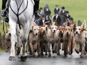 Riders and hounds as they take part in the Kennels Lanarkshire and Renfrewshire meet in Houston, Scotland. Environment Minister Mairi McAllan has said loopholes around fox hunting will be closed as the Hunting with Dogs Bill legislation goes through its final stage in 2023.