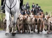 Riders and hounds as they take part in the Kennels Lanarkshire and Renfrewshire meet in Houston, Scotland. Environment Minister Mairi McAllan has said loopholes around fox hunting will be closed as the Hunting with Dogs Bill legislation goes through its final stage in 2023.