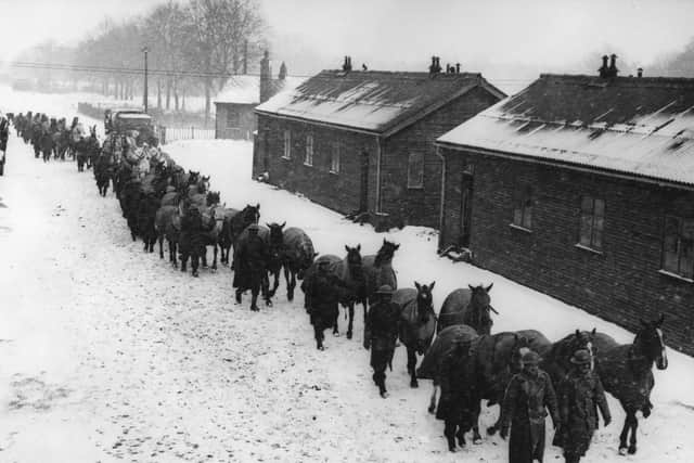 Troops from the Royal Indian Army Service Corps marching with their pack horses through the snow in January 1942 (Picture: Reg Speller/Fox Photos/Getty Images)