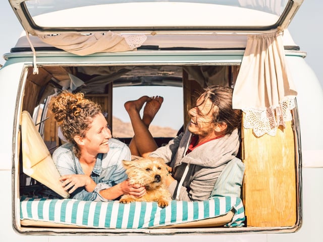 It’s so important that your dog is comfy and kept cool when travelling, especially during long car journeys. Doing things such as putting the air conditioning on, shading out the back windows to protect them from direct sun, and stopping at service stations for short walks will make sure your dog feels calm and looked after. Don’t forget a bowl and water!