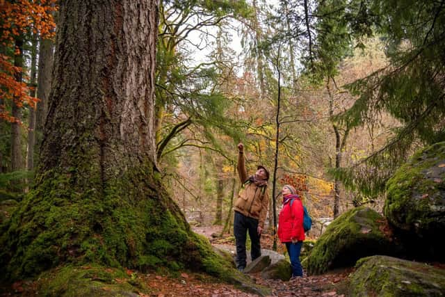 Pictured at Hermitage, Dunkeld.