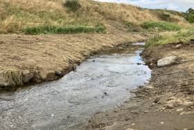 Full weir removals have taken place at Bronie Burn (SEPA).