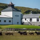 Kilchoman Distillery aims to produce 40 per cent more whisky within the next 12 months. Picture: Ben Shakespeare Photography