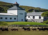 Kilchoman Distillery aims to produce 40 per cent more whisky within the next 12 months. Picture: Ben Shakespeare Photography