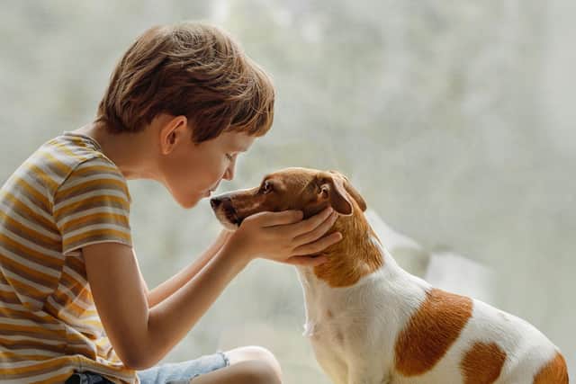 Children and dogs can often create a very strong bond.