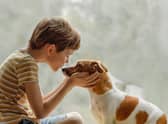 Children and dogs can often create a very strong bond.