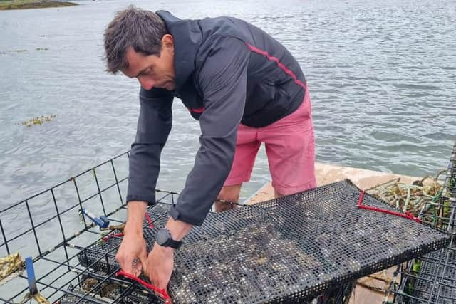 Alexander Mackenzie set up Plockton Oysters in 2022 and now has plans to expand to a commercial-scale operation. Picture: Malcolm Mackenzie