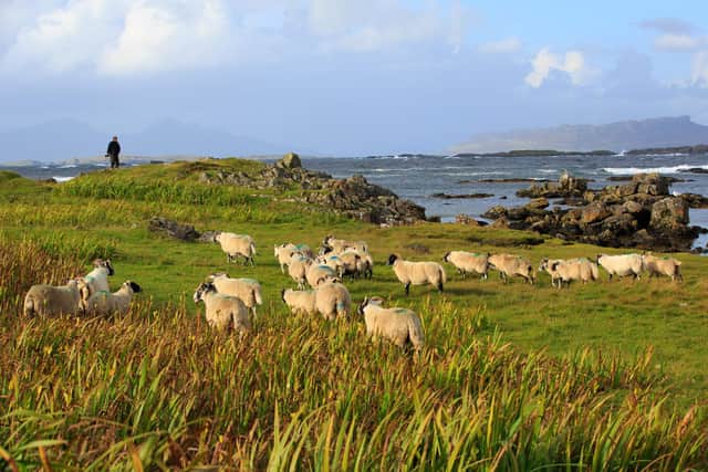 The UK government's new proposals to increase the salary threshold of the skilled workers visa has drawn criticism from MSPs and the rural community in Scotland (pic: ellenamani - stock.adobe.com)