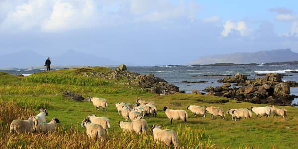 The UK government's new proposals to increase the salary threshold of the skilled workers visa has drawn criticism from MSPs and the rural community in Scotland (pic: ellenamani - stock.adobe.com)