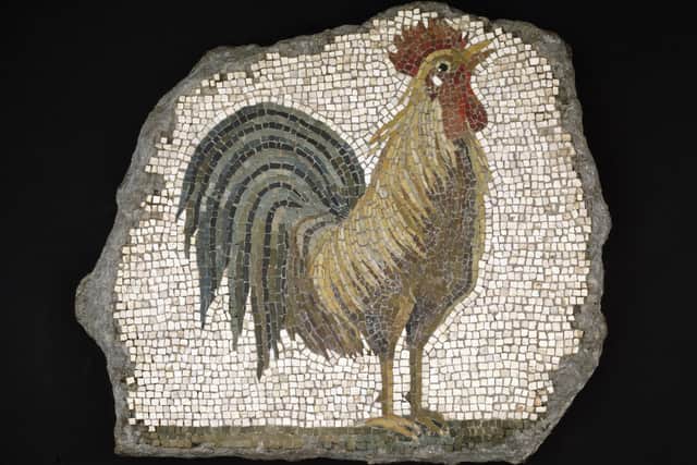 A Mosaic fragment of a cockerel which was once part of the flooring of a Roman villa