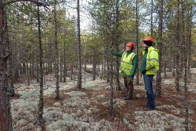 Forestry and Land Scotland workers have been using a 'holistic' approach to manage the public woodland at Culbin, putting ecological and human needs above timber production. Picture: FLS