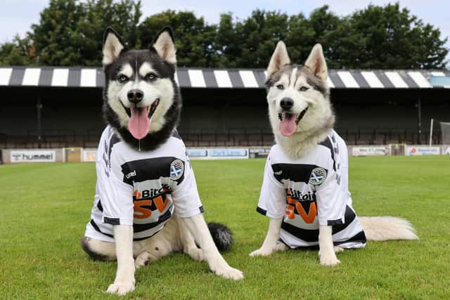 Kenny Dog-Leash and Paul Dogba pose with the new strips. Image: Robert Perry/PinPep