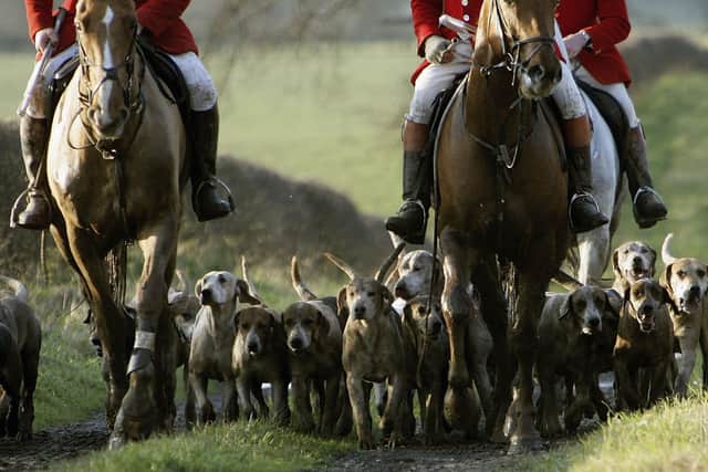 Scotland's new Hunting with Dogs Bill came into effect earlier this year (pic: Christopher Furlong/Getty Images)