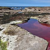 A red rockpool near the New Aberdour Caves on the Moray First Coast. PIC: SEPA.