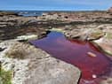 A red rockpool near the New Aberdour Caves on the Moray First Coast. PIC: SEPA.