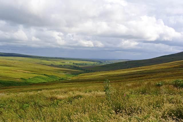 Langholm Moor, in Dumfries and Galloway, is at the centre of the biggest community land buyout in southern Scotland. Picture: Tom Hutton