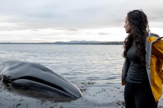 The documentary is hard-hitting and gruesome at times but presenter Ella Al-Shamahi says viewers will never have seen a natural history show like this before
