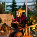 Nicole Cooper as The Fool Lear's Fool PIC: Tommy Ga-Ken Wan