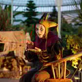 Nicole Cooper as The Fool Lear's Fool PIC: Tommy Ga-Ken Wan