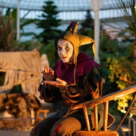 Nicole Cooper as The Fool Lear's Fool PIC: Tommy Ga-Ken Wan