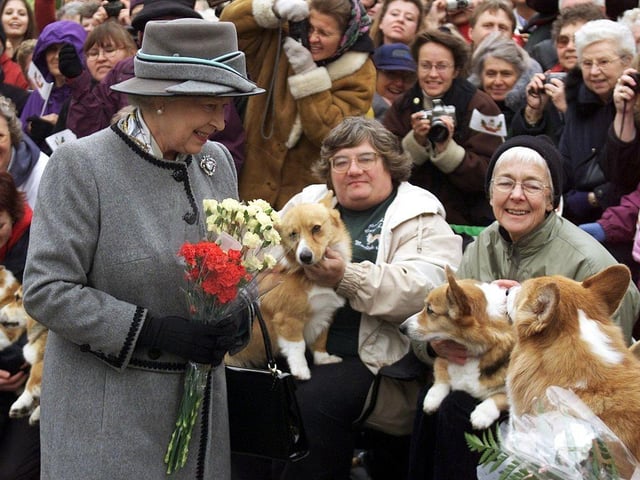 One Corgi that held a particularly special place in the Queen's heart was Susan, the first ever Corgi of her own. She loved the dog so much she even took her on her honeymoon.