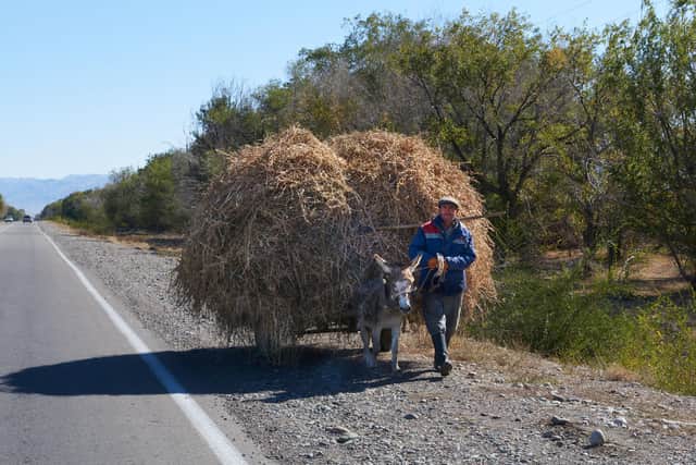 Farmer with donkey carrying crops. Pic: Lisa Young