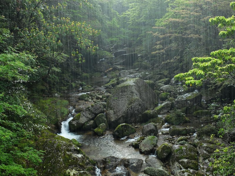 A somewhat poetic word, Greetie means "showery" and it connects to the Scottish word "greeting" which means "to cry".