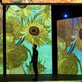 The new Van Gogh Alive art show is running in Festival Square in Edinburgh until mid-July. Picture: Lisa Ferguson