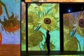 The new Van Gogh Alive art show is running in Festival Square in Edinburgh until mid-July. Picture: Lisa Ferguson