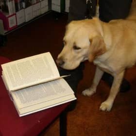 Aberdeenshire Libraries’ successful Dog-friendly Saturday scheme has been extended to include four more libraries!