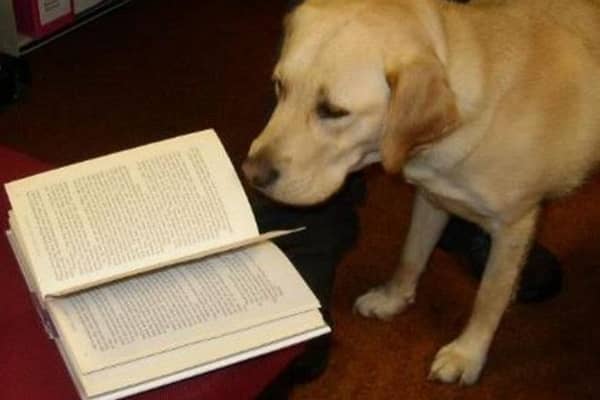 Aberdeenshire Libraries’ successful Dog-friendly Saturday scheme has been extended to include four more libraries!